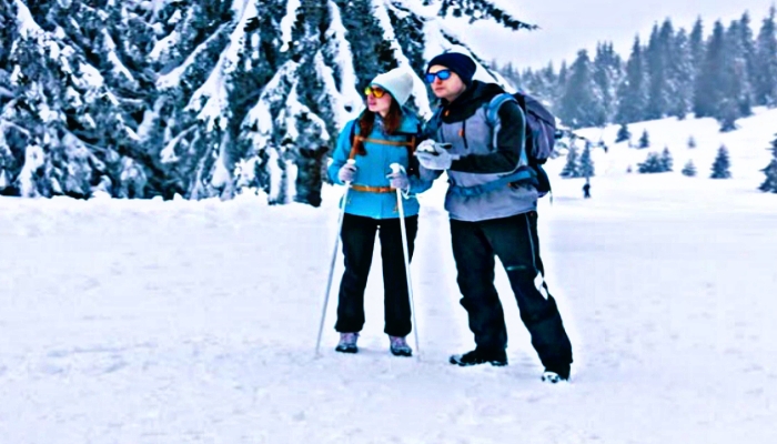 Honeymoon trip to Kashmir