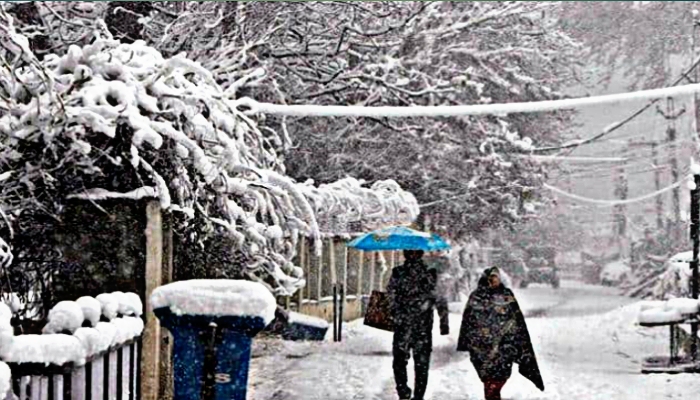 Honeymoon trip to Kashmir