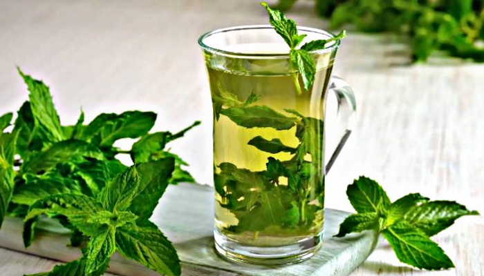 पुदीना के गुणकारी फायदे