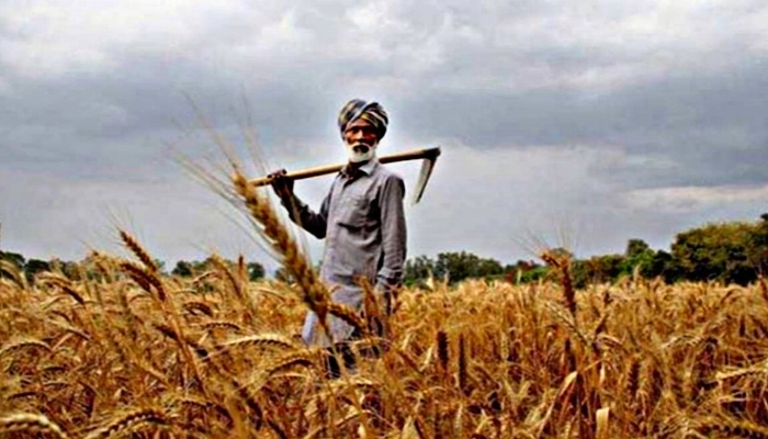 PM Kisan