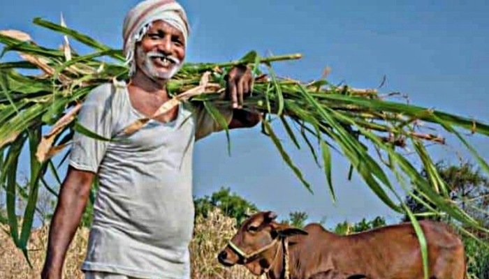 PM Kisan