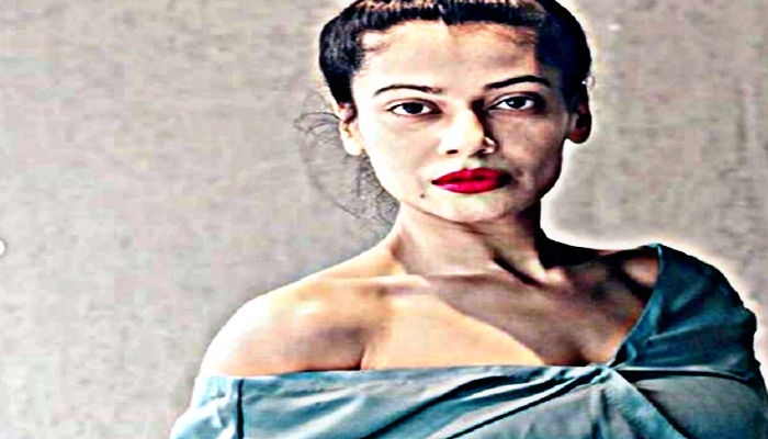 Payal Rohatgi Bail