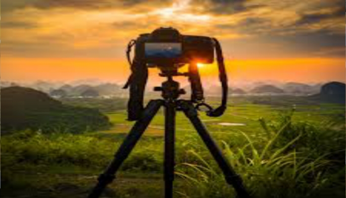 World Photography Day