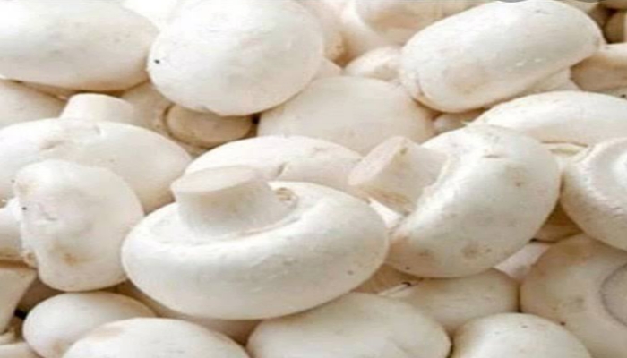 White Button Mushroom