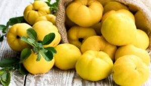 Benefits of Quince Fruit