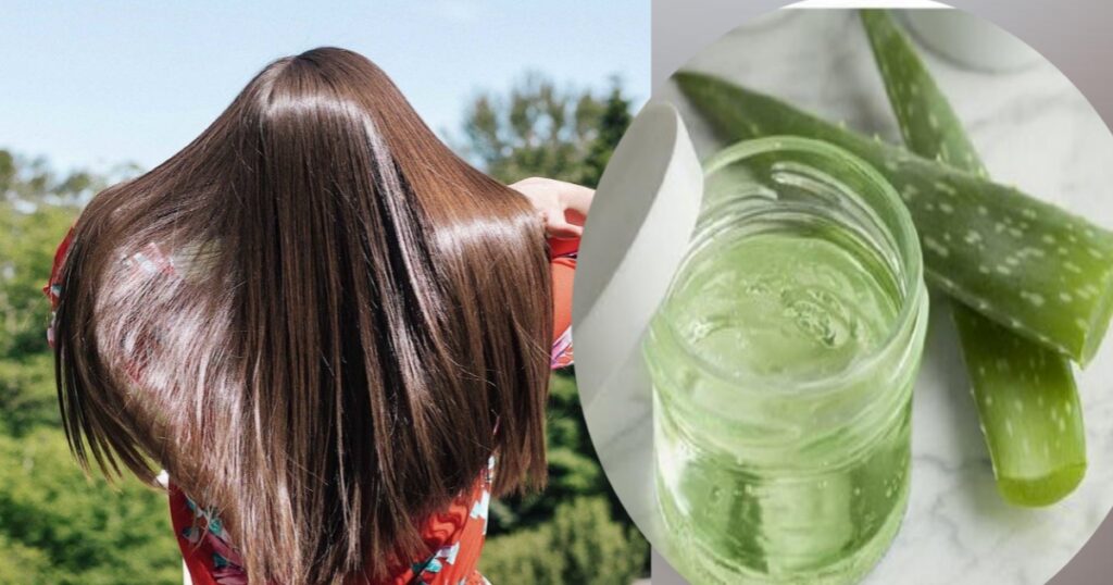 Aloe Vera Uses for Hair in Hindi