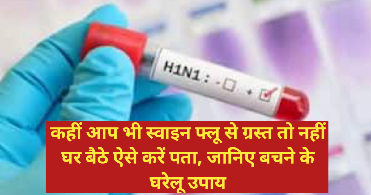 Swine Flu in Hindi