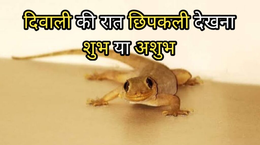 Lizard Indications in hindi